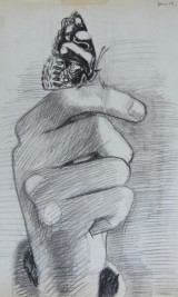 Study for Butterfly thumb