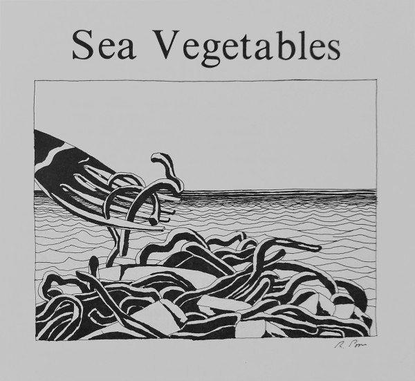 Sea Vegetables large