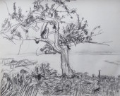 Study for Tree River Field thumb