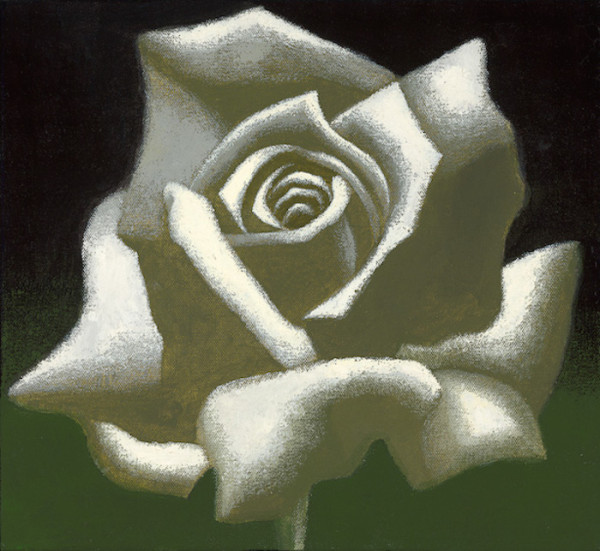 White Rose large