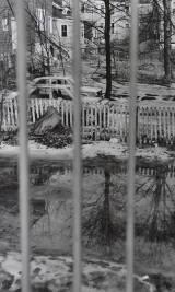 Fence, Trees, Puddles thumb